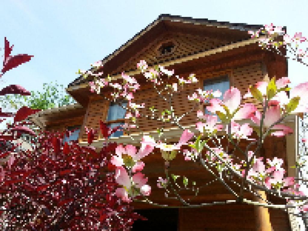 Persimmon Inn Μπλούμινγκτον Εξωτερικό φωτογραφία